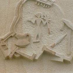 escudo trasera